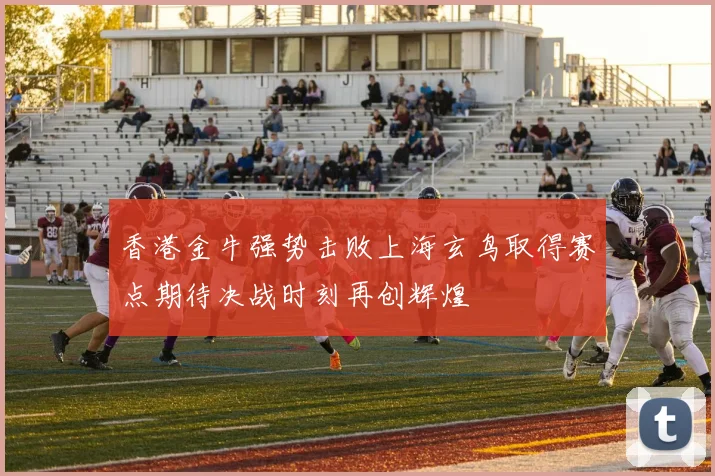 香港金牛强势击败上海玄鸟取得赛点期待决战时刻再创辉煌